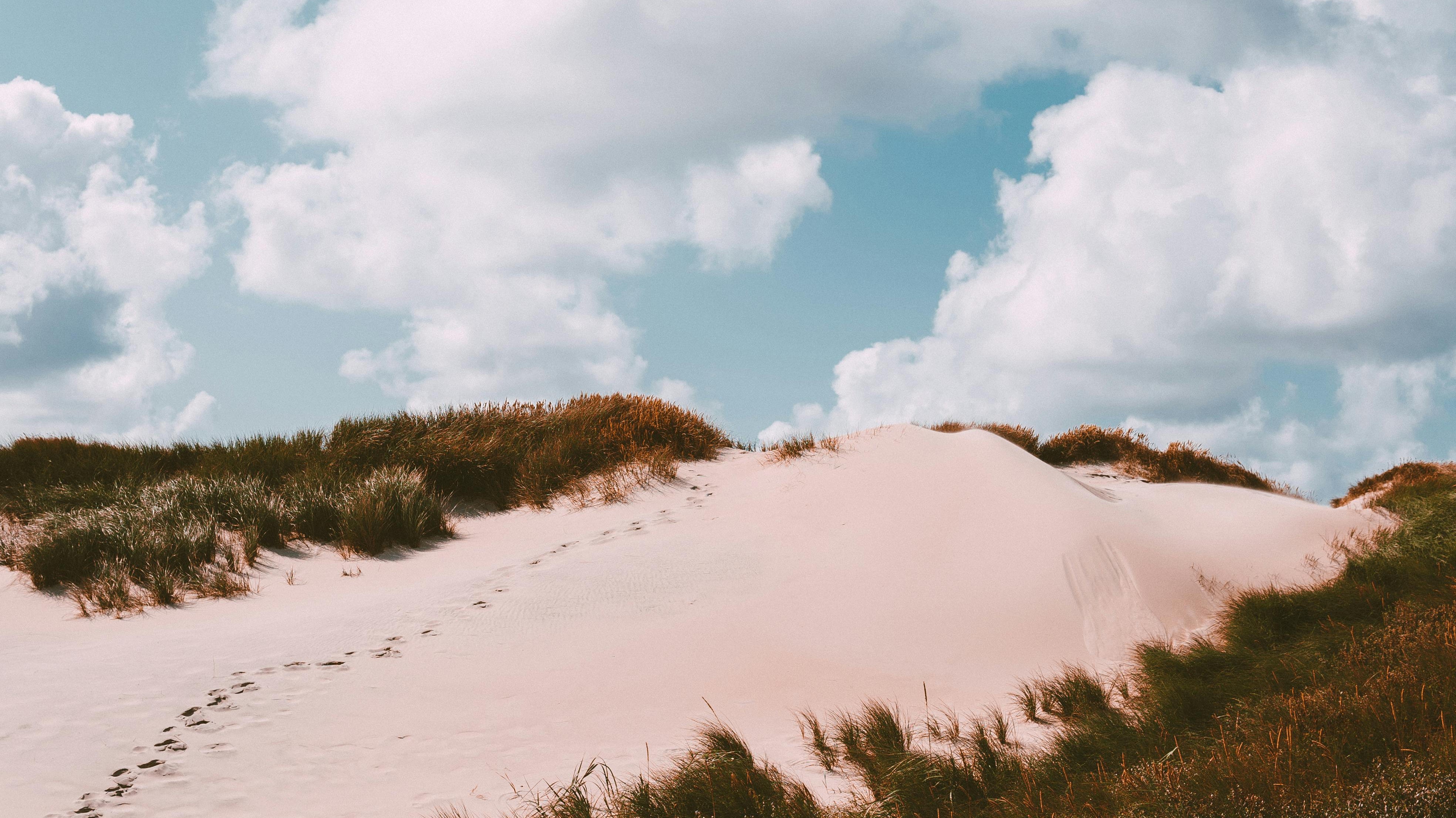 Unlock your potential: 7 tips to harness a growth mindset
